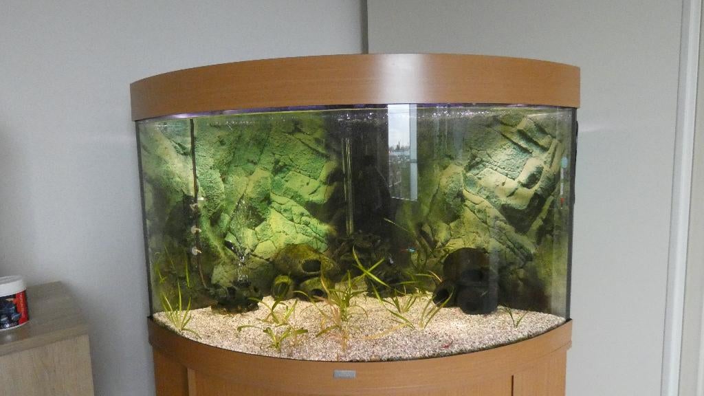 Juwel hoek aquarium trigion 190l, Ophalen, Gebruikt, Leeg aquarium