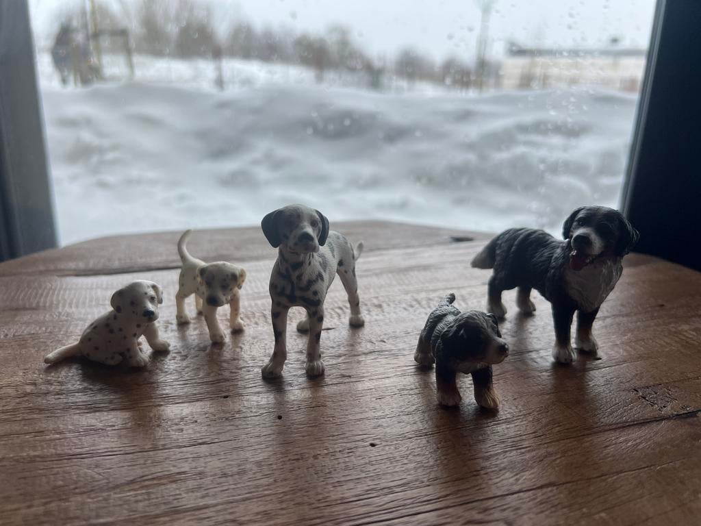 Schleich honden, Verzamelen, Ophalen of Verzenden, Zo goed als nieuw, Hond of Kat, Beeldje of Figuurtje
