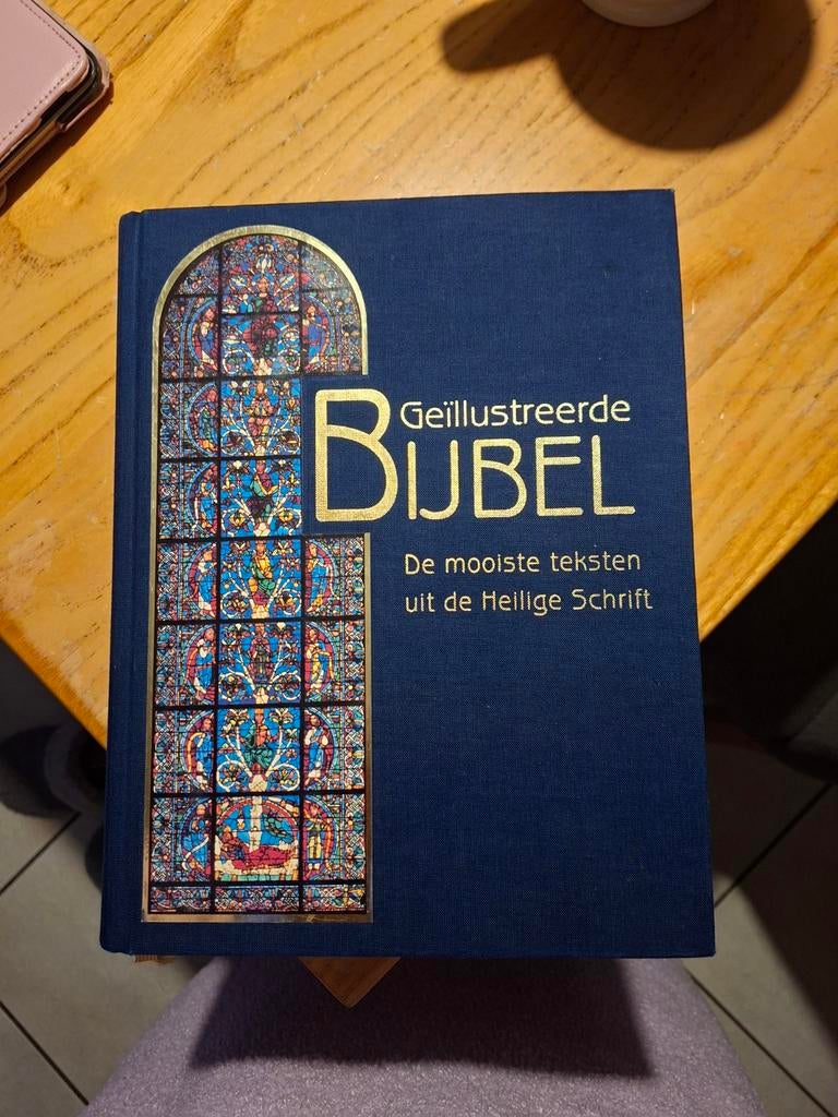 Geïllustreerde Bijbel Mooiste teksten uit de Heilige Schri, Ophalen of Verzenden, Nieuw
