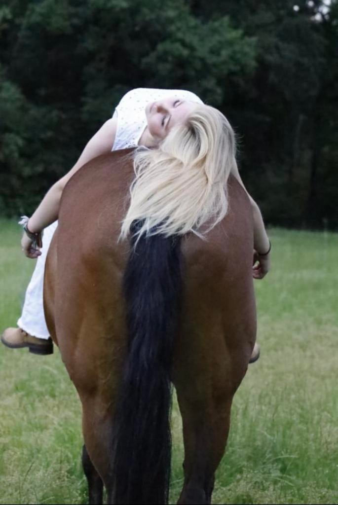 Bijrijder aangeboden 21+, Dieren en Toebehoren, Stalling en Weidegang