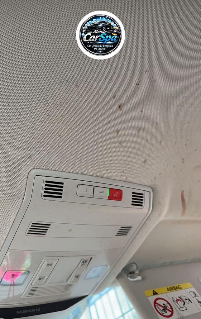 Autobekleding Reinigen | Professioneel & Grondig Op Locatie!, Auto-onderdelen, Interieur en Bekleding, Alfa Romeo, Amerikaanse onderdelen