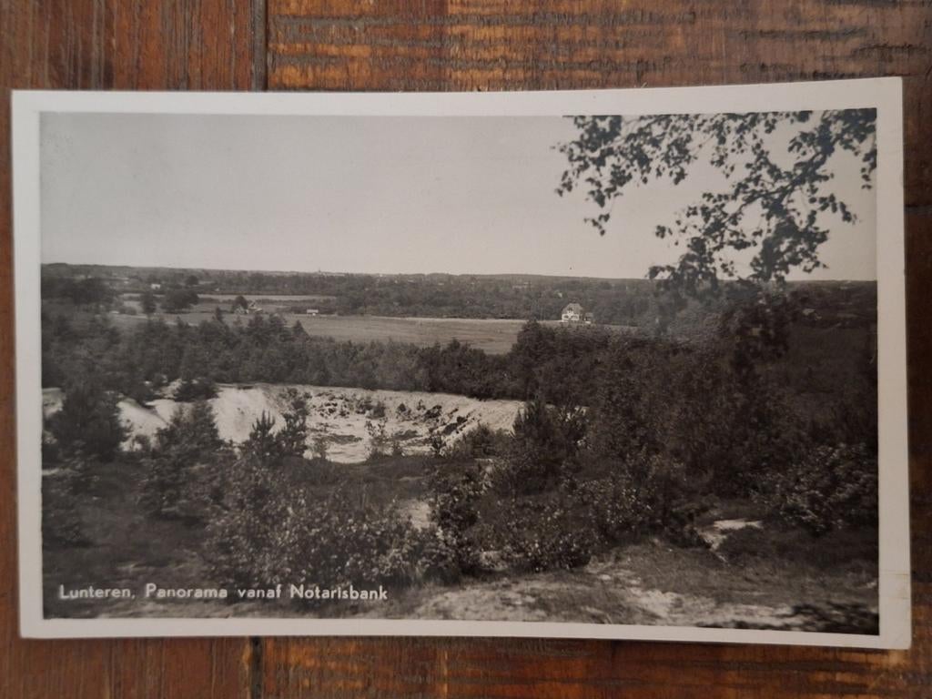 Fotokaart Lunteren - Panorama vanaf Notarisbank - 1951, Ophalen of Verzenden, 1940 tot 1960, Gelopen, Gelderland