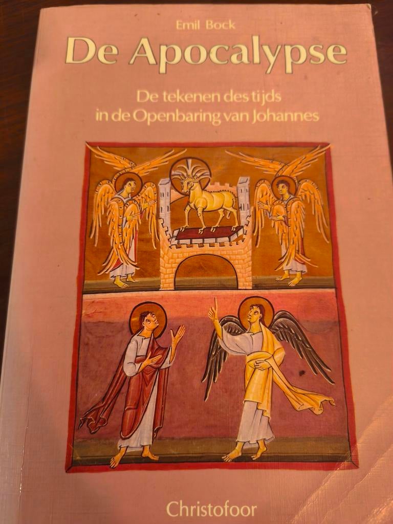 De Apocalyps - Emil Bock, Boeken, Ophalen of Verzenden, Gelezen, Emil Bock, Christendom | Katholiek