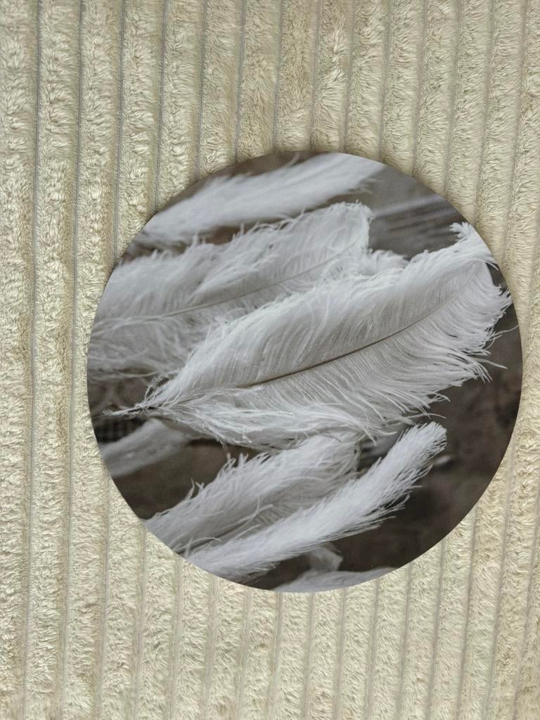 Muurcirkel, Ophalen of Verzenden, Nieuw