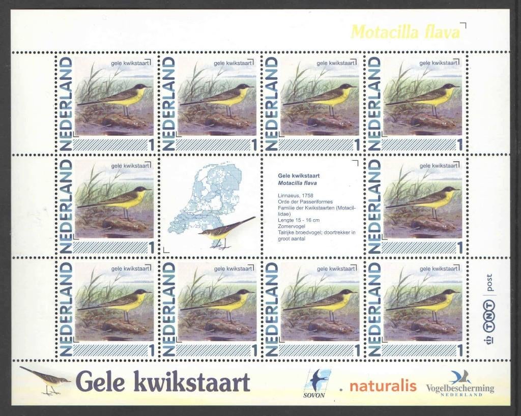 Postzegels Vogels in Nederland: Gele Kwikstaart, Ophalen of Verzenden, Na 1940, Postfris