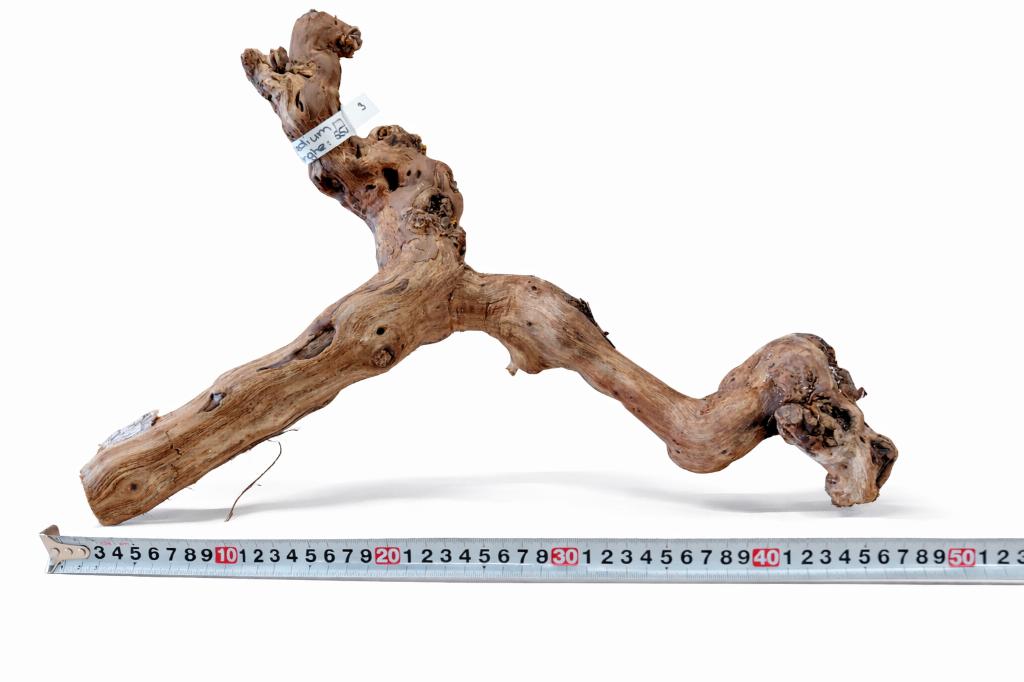 Druivenhout (Medium) voor Terrarium (stuk nr3), Nieuw, Ophalen of Verzenden, Nvt, Nvt