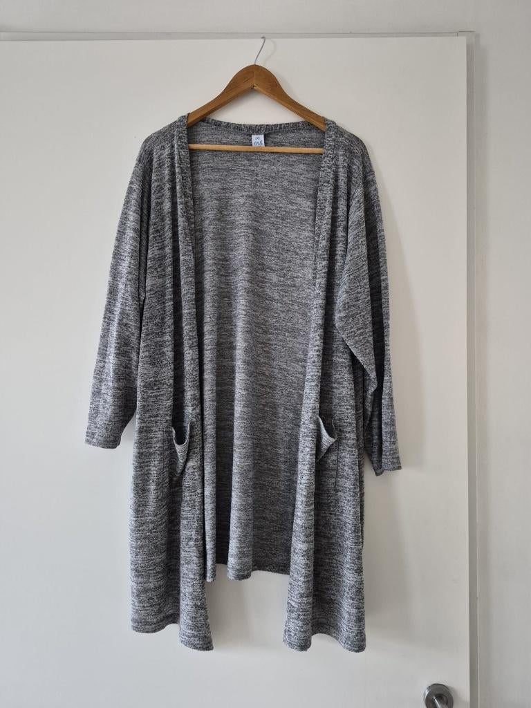 Lang vest XXXL MS Mode - grijs, Maat 46/48 (XL) of groter, Ophalen of Verzenden, Zo goed als nieuw, MS Mode