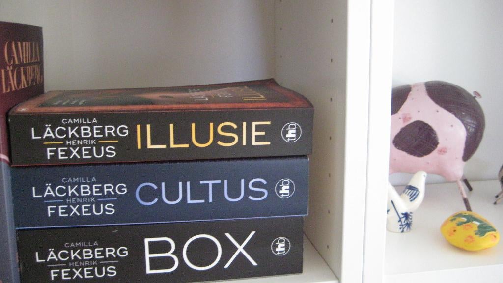 Scandinavische trillers, Ophalen of Verzenden, Zo goed als nieuw, Läckberg