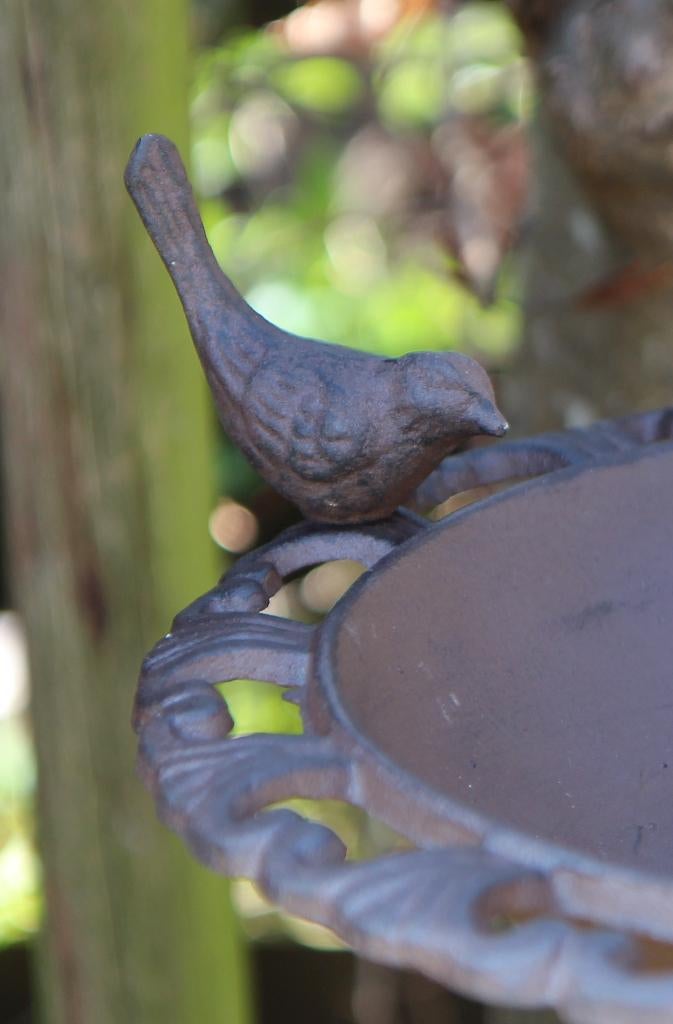 Vogelschaal, Vogelbad met vogeltje, gietijzer, hoge voet., Robanjer, Nieuw, Ophalen of Verzenden, Harmelen