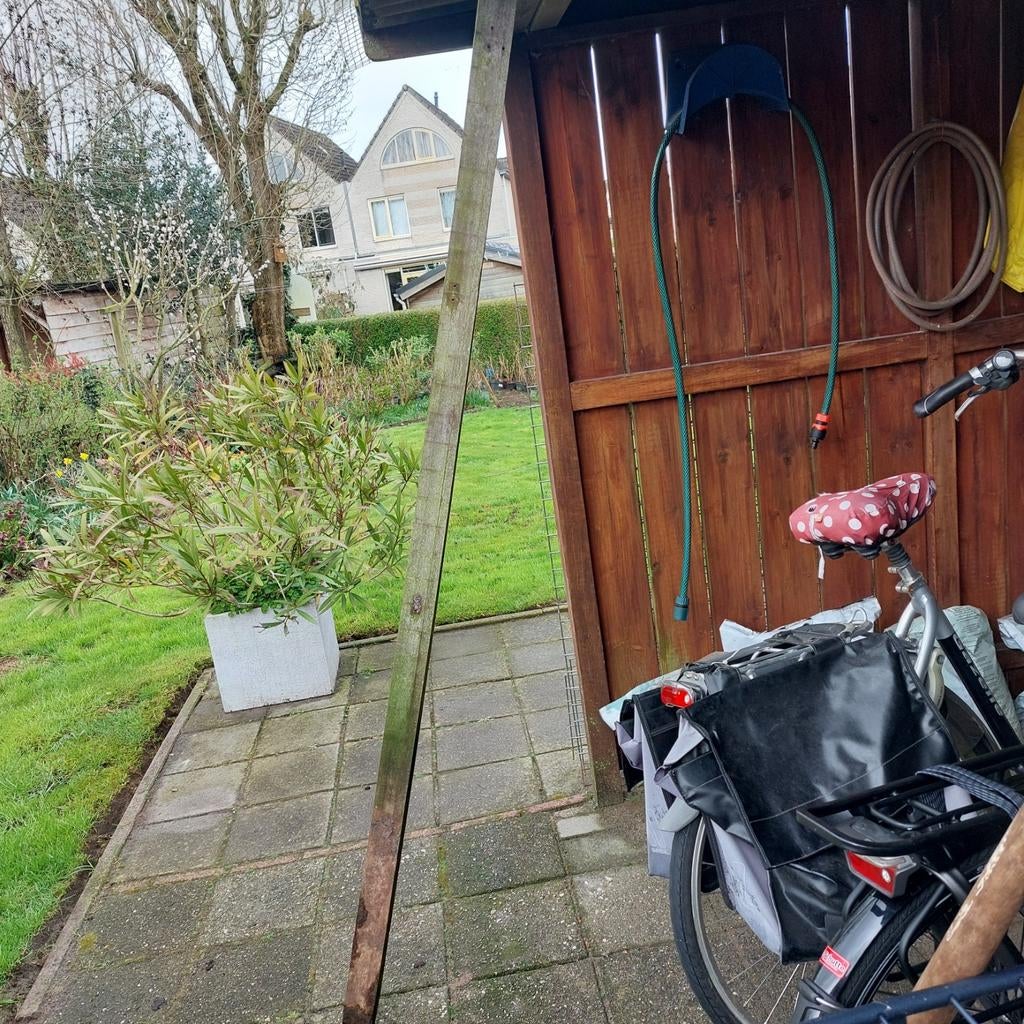 3 hard houten palen en gaas, Tuin en Terras, Ophalen, 180 tot 250 cm, Palen, Hardhout