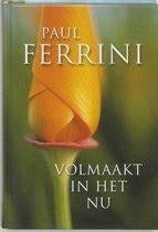 Paul Ferrini Volmaakt in het Nu, Boeken, Esoterie en Spiritualiteit, Ophalen of Verzenden, Nieuw, Spiritualiteit algemeen, Achtergrond en Informatie