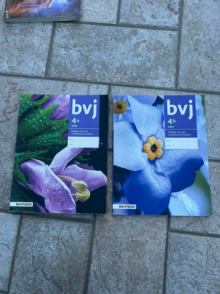 BVJ VWO 4 leeropdrachtboeken 4a&b, Boeken, Ophalen of Verzenden, Gelezen, VWO, Biologie