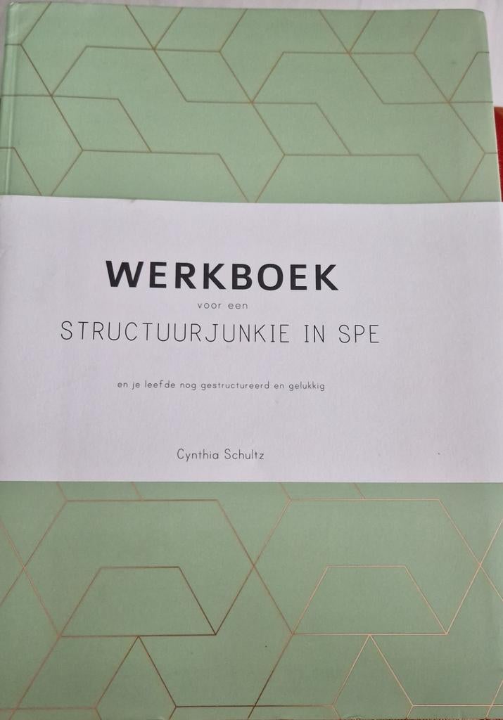 Cynthia Schultz - Werkboek voor een structuurjunkie in spe, Boeken, Ophalen of Verzenden, Zo goed als nieuw, Cynthia Schultz