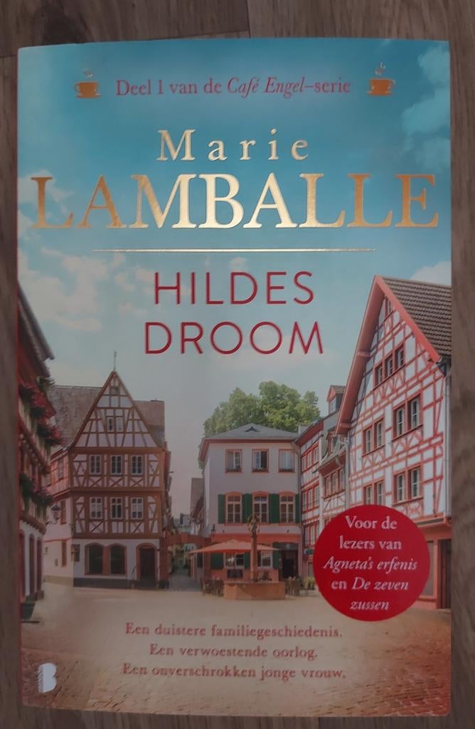 Marie lamballe hildes droom, Ophalen of Verzenden, Zo goed als nieuw, Marie Lamballe
