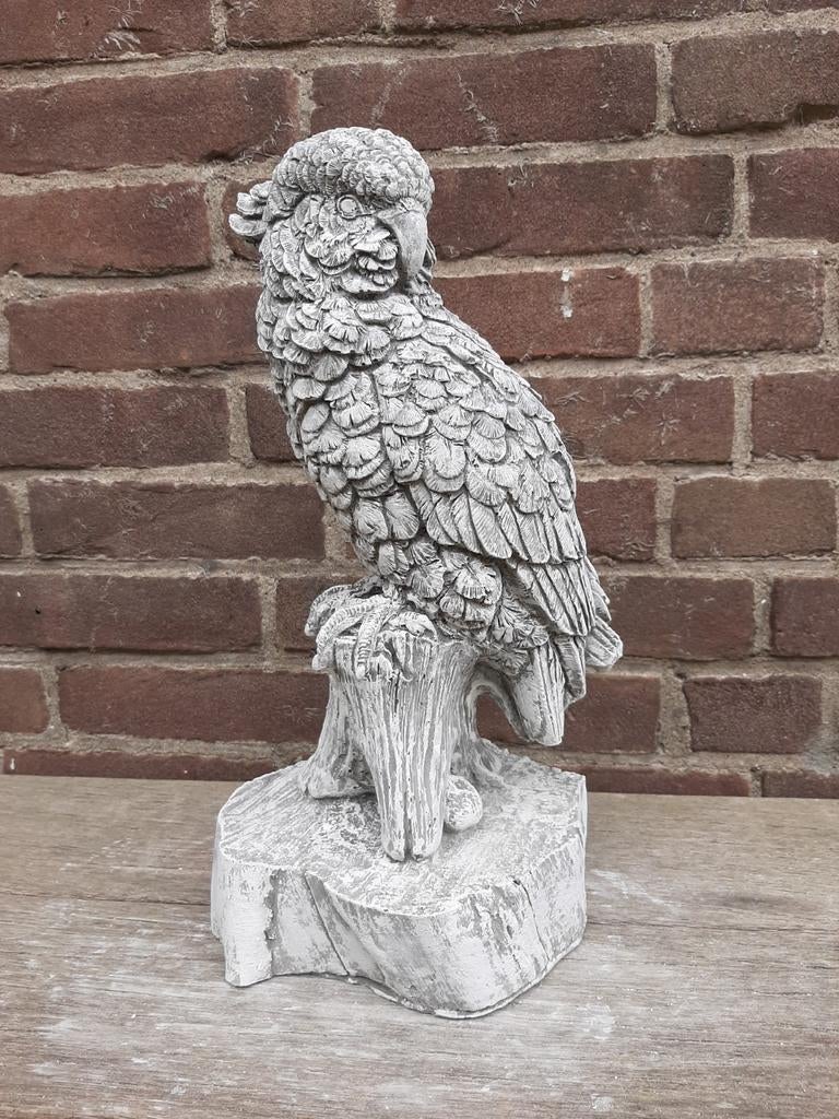 Kaketoe betonnen beeld tuinbeeld beton, Ophalen of Verzenden