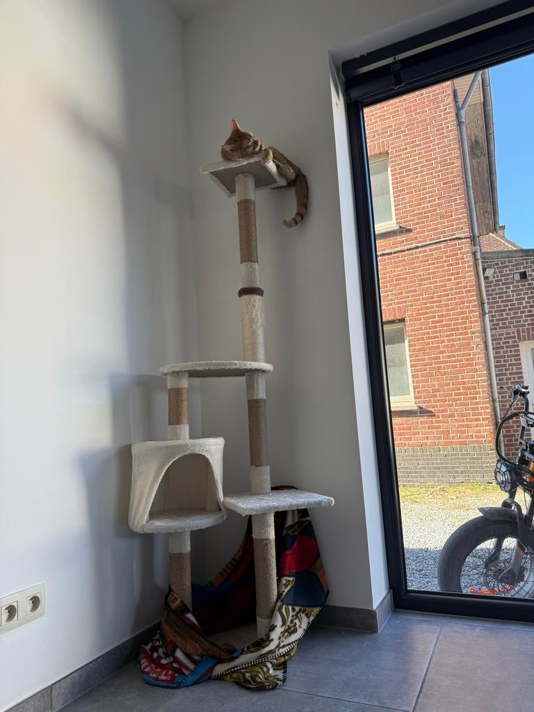 Krabpaal 1,70 m, Ophalen of Verzenden, Krabpaal