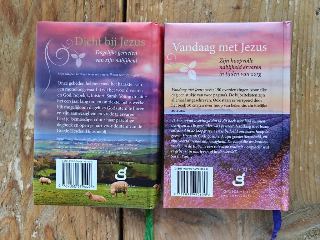 2 Dagboeken van Sarah Young., Ophalen of Verzenden, Zo goed als nieuw