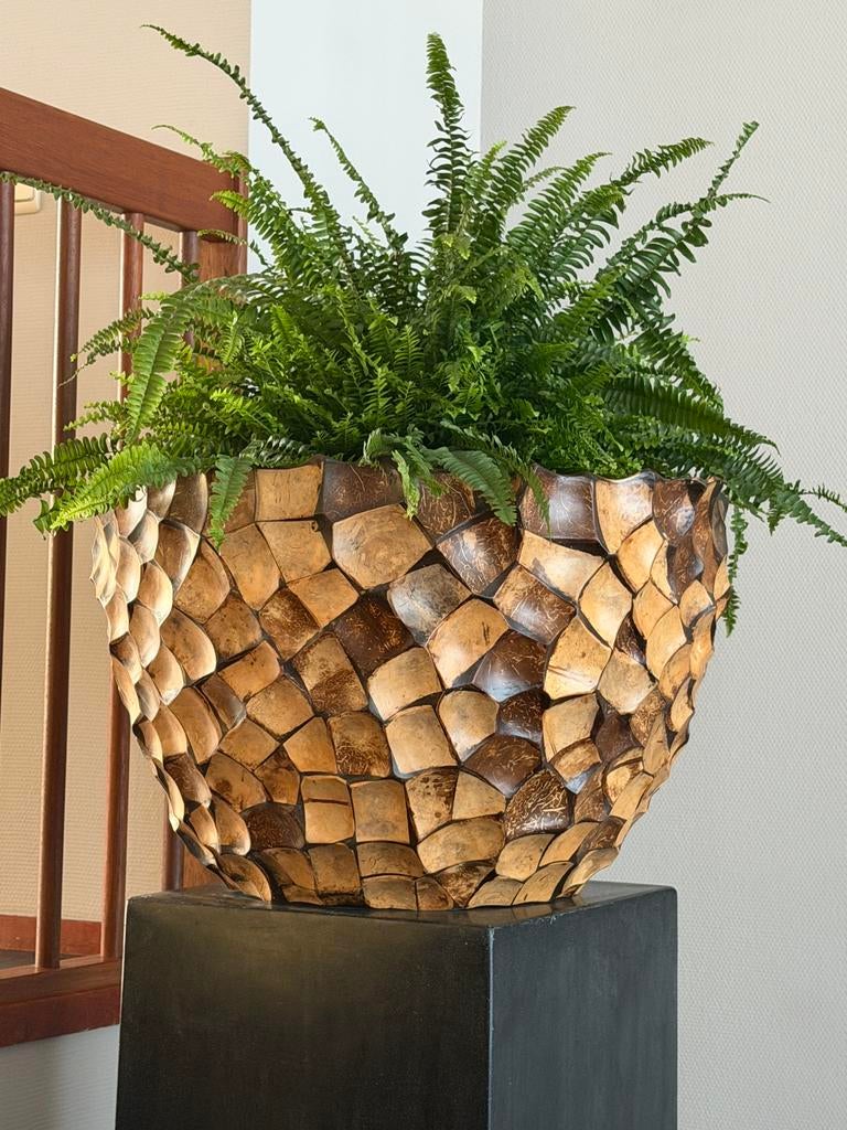 Bloempot van kokosnootschalen, Tuin en Terras, Bloempotten, Ophalen, Overige materialen, 40 cm of meer, Rond
