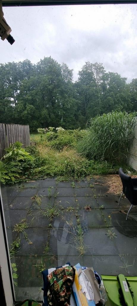 Tuinman - Snoeien, Onkruid & Opruimen | Snel en Netjes, Ophalen of Verzenden