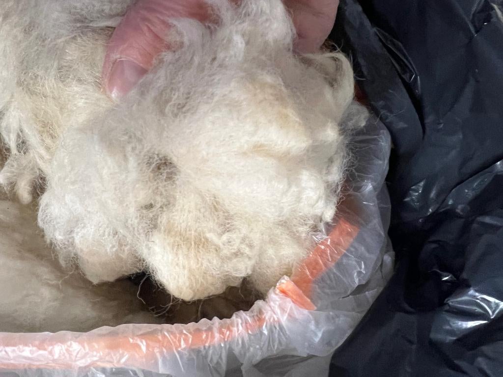 Alpaca wol, Ophalen, Nieuw, Spinwol