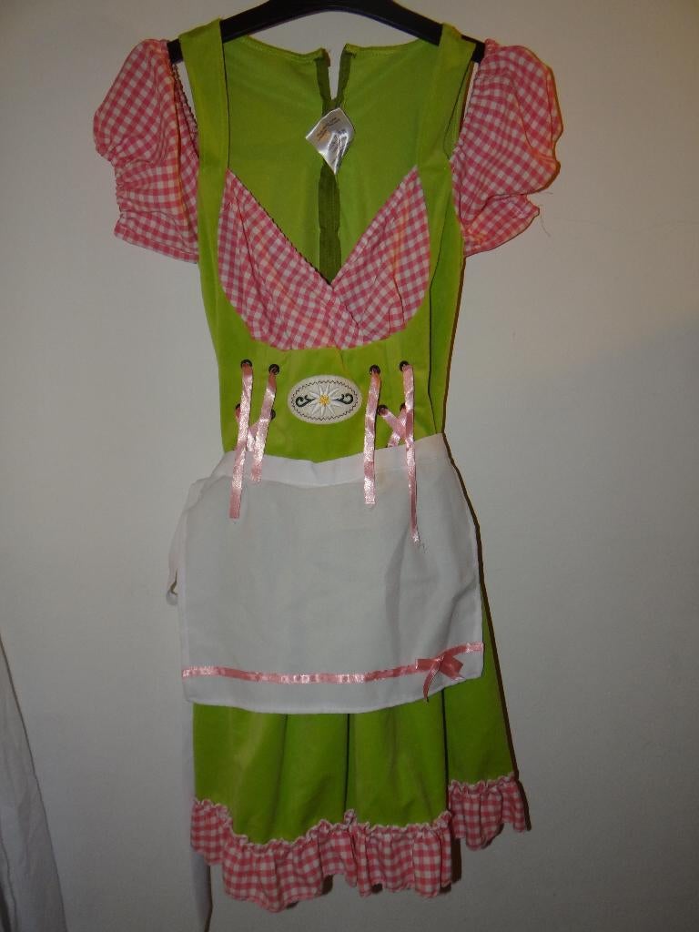 Leuk groen/roze TIROLER/ALPENMEISJE/DIRNDL jurk, Ophalen, Carnaval, Kleding, Maat 36 (S)
