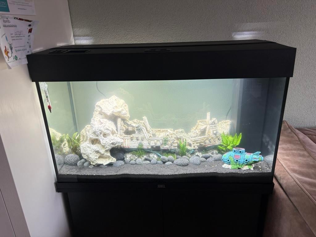 Juwel rio 125 led, Ophalen, Nieuw, Verlichting of Verwarming