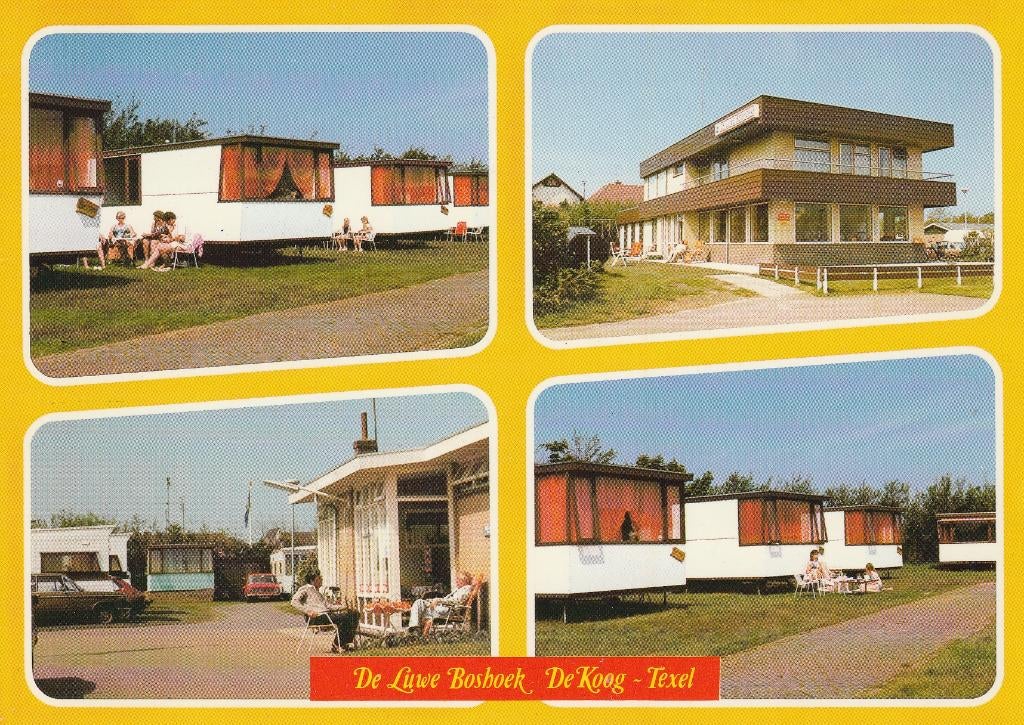 Ansichtkaart van camping De Luwe Boshoek in De Koog op Texel, Verzamelen, Ansichtkaarten | Nederland, Ongelopen, Waddeneilanden