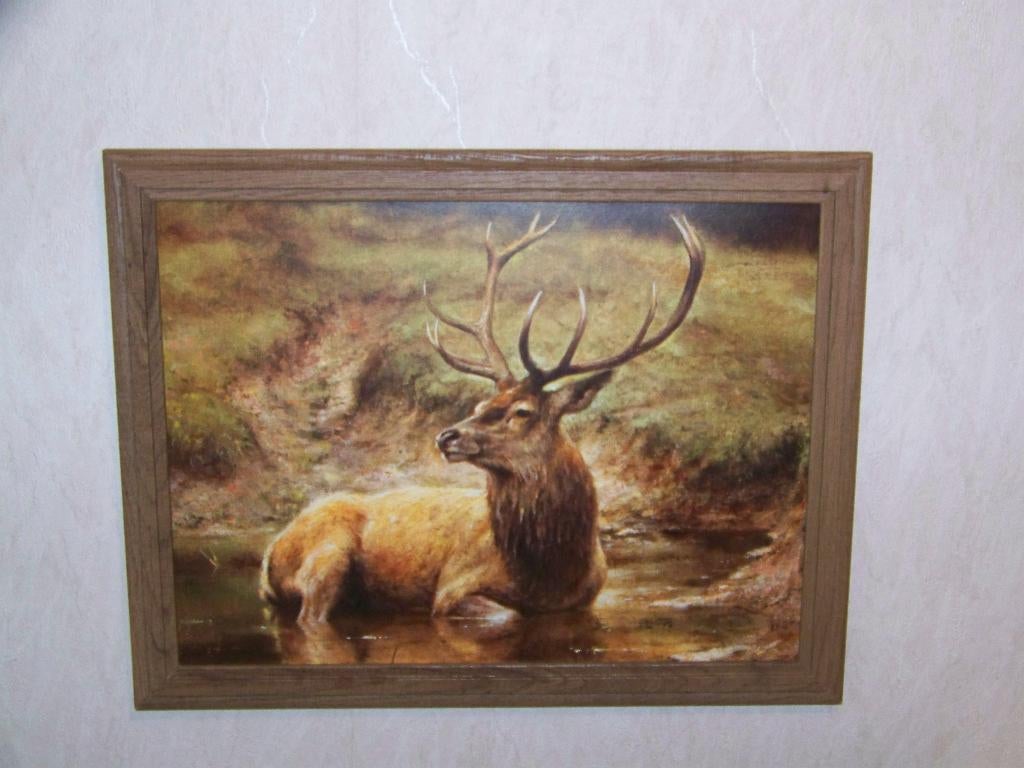 Edelhert poster prent Rien Poortvliet, Ophalen of Verzenden, Gebruikt, Hert, Overige typen