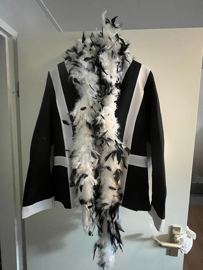 Soule outfit dames, Ophalen of Verzenden, Zo goed als nieuw, Maat 38/40 (M), Carnaval