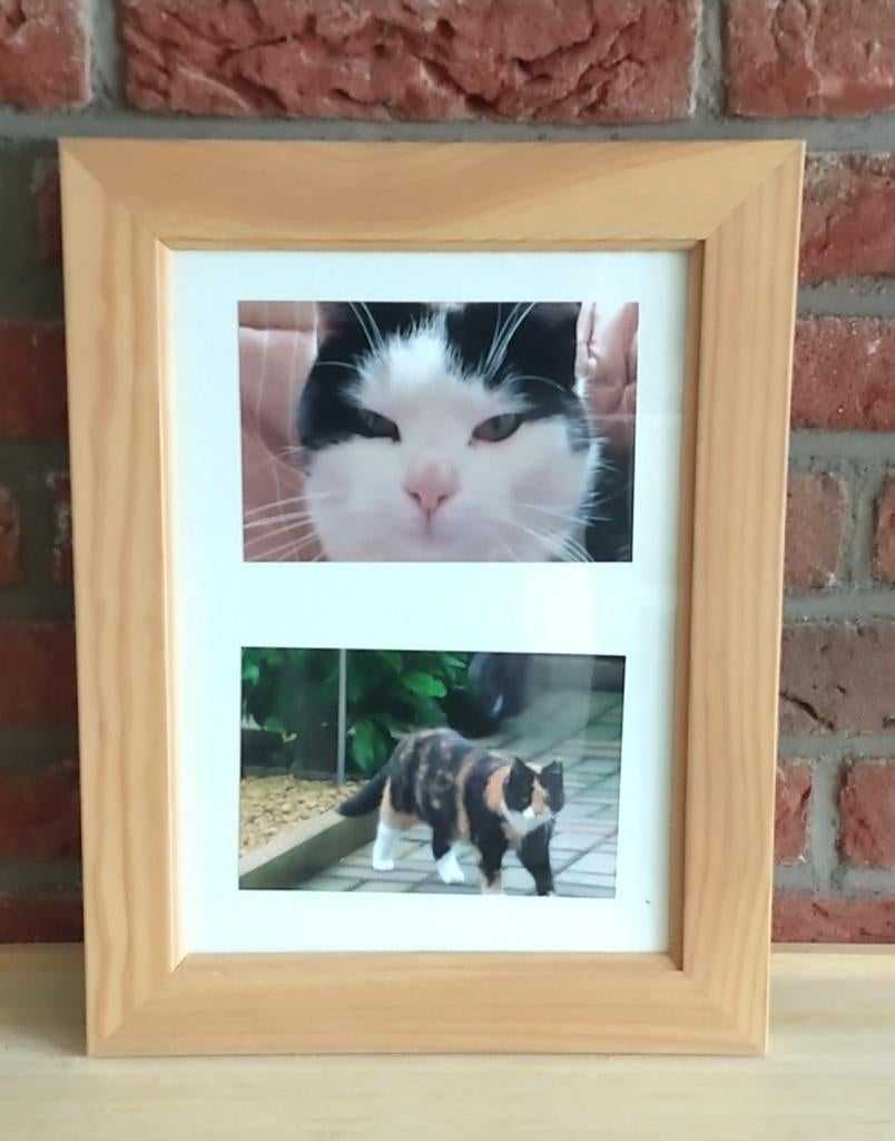 IKEA wissellijstjes/ foto lijstjes, volgnr 8, Minder dan 50 cm, Ophalen of Verzenden, Zo goed als nieuw, Minder dan 50 cm