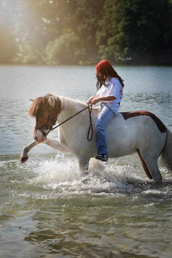 Bijrijd/ verzorgpaard gezocht! Bijrijder aangeboden!, Dieren en Toebehoren, Ophalen of Verzenden, Nieuw
