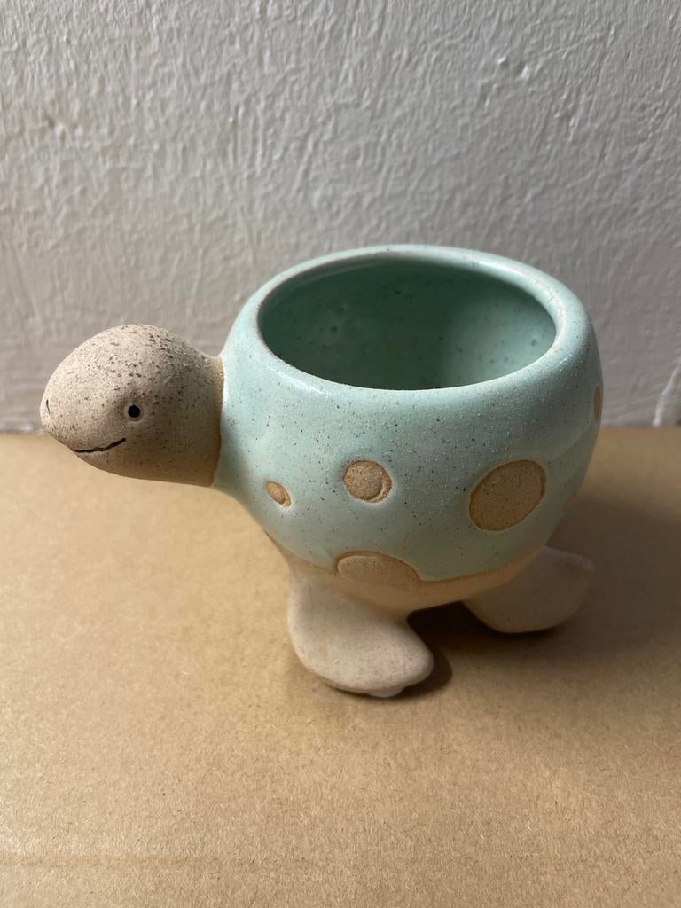 Schattig Kaktus Potje - Schildpad Design, Tuin en Terras, Bloempotten, Ophalen, Rond, Binnen, Zo goed als nieuw