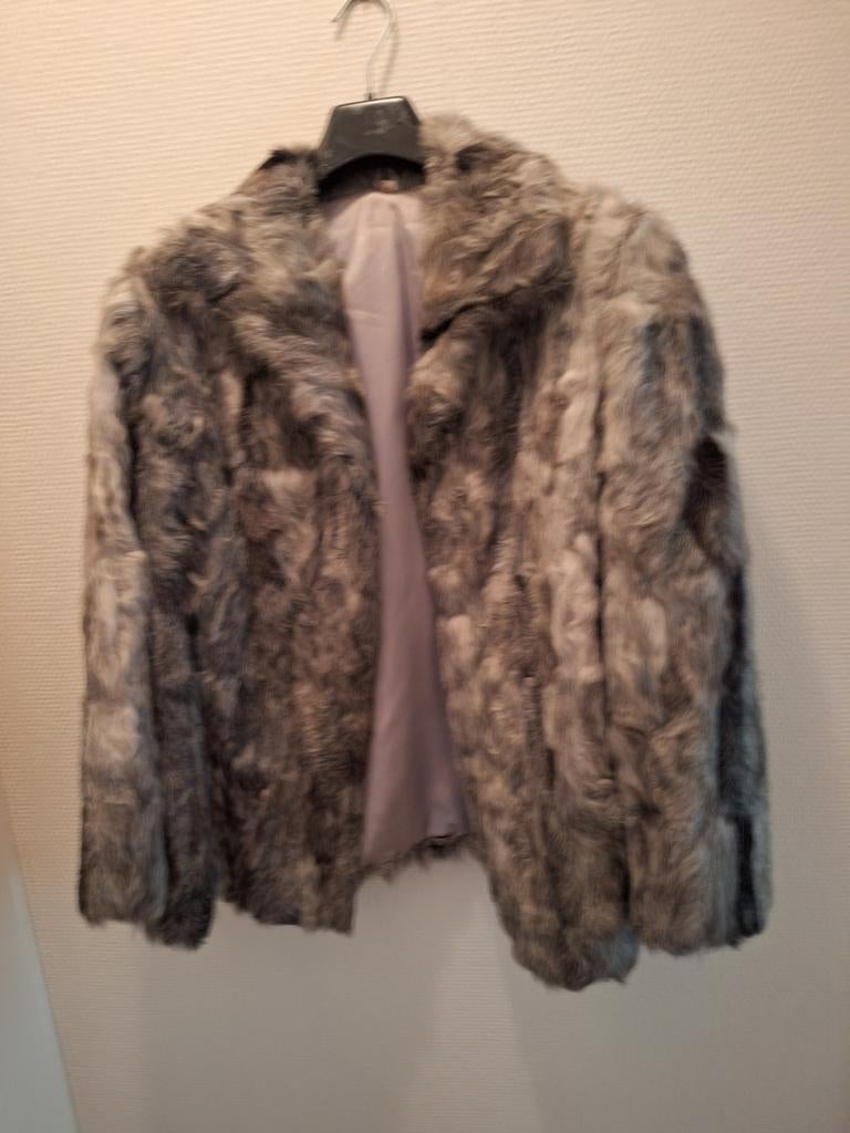 Bontjasje, Kleding | Dames, Ophalen, Zo goed als nieuw, Maat 46/48 (XL) of groter, Grijs