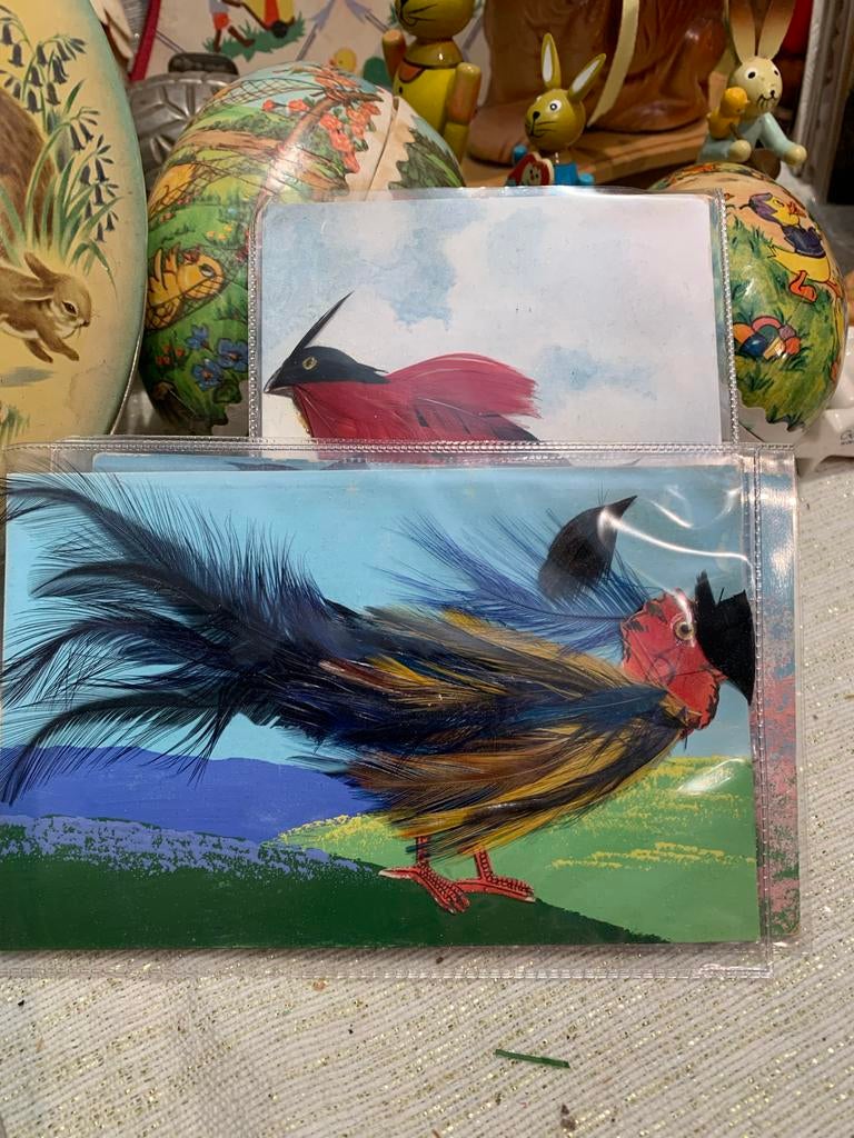 Oude bijzondere Ansichtkaarten met Vogels en echte veren, Antiek en Kunst, Ophalen of Verzenden