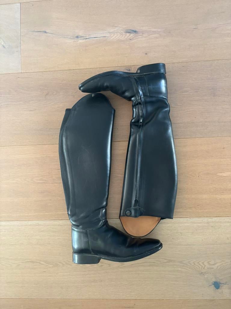 Petrie Padova, Dieren en Toebehoren, Ophalen of Verzenden, Gebruikt, Dressuur, Schoeisel