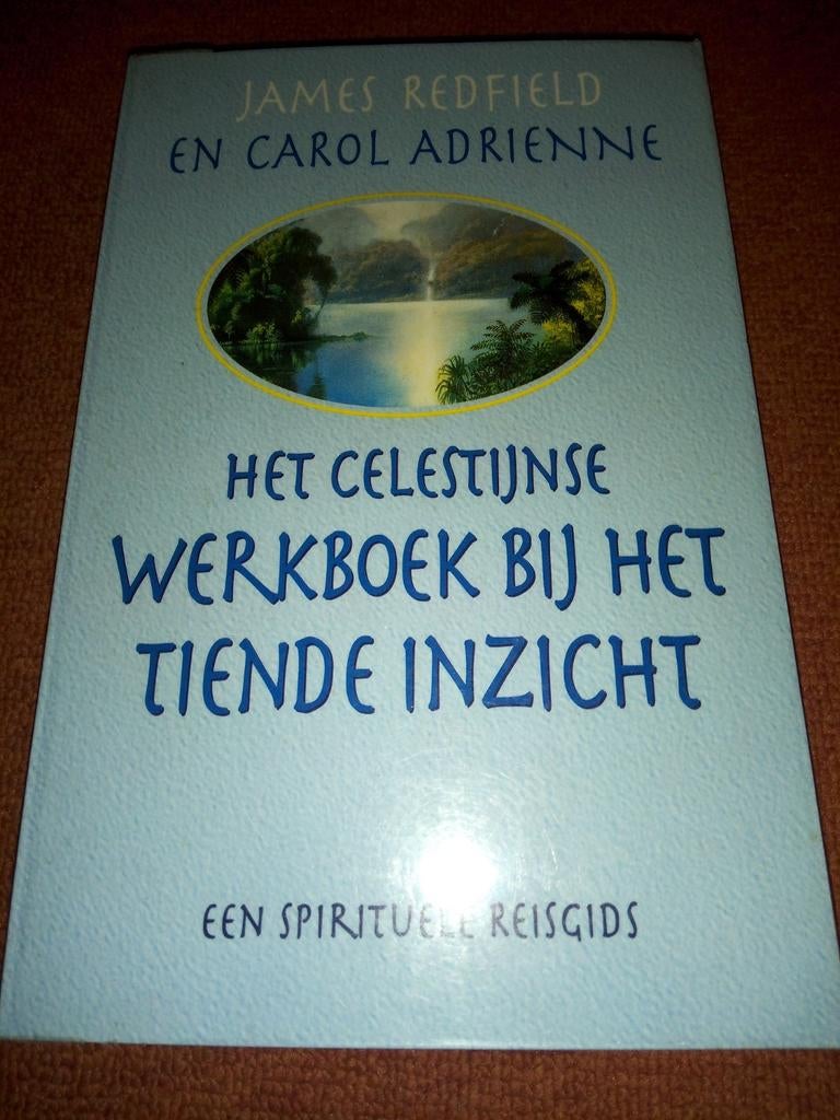 Het Celestijnse Werkboek bij het Tiende Inzicht, Gelezen, Spiritualiteit algemeen, Verzenden, James Redfield en Carol Adrienne