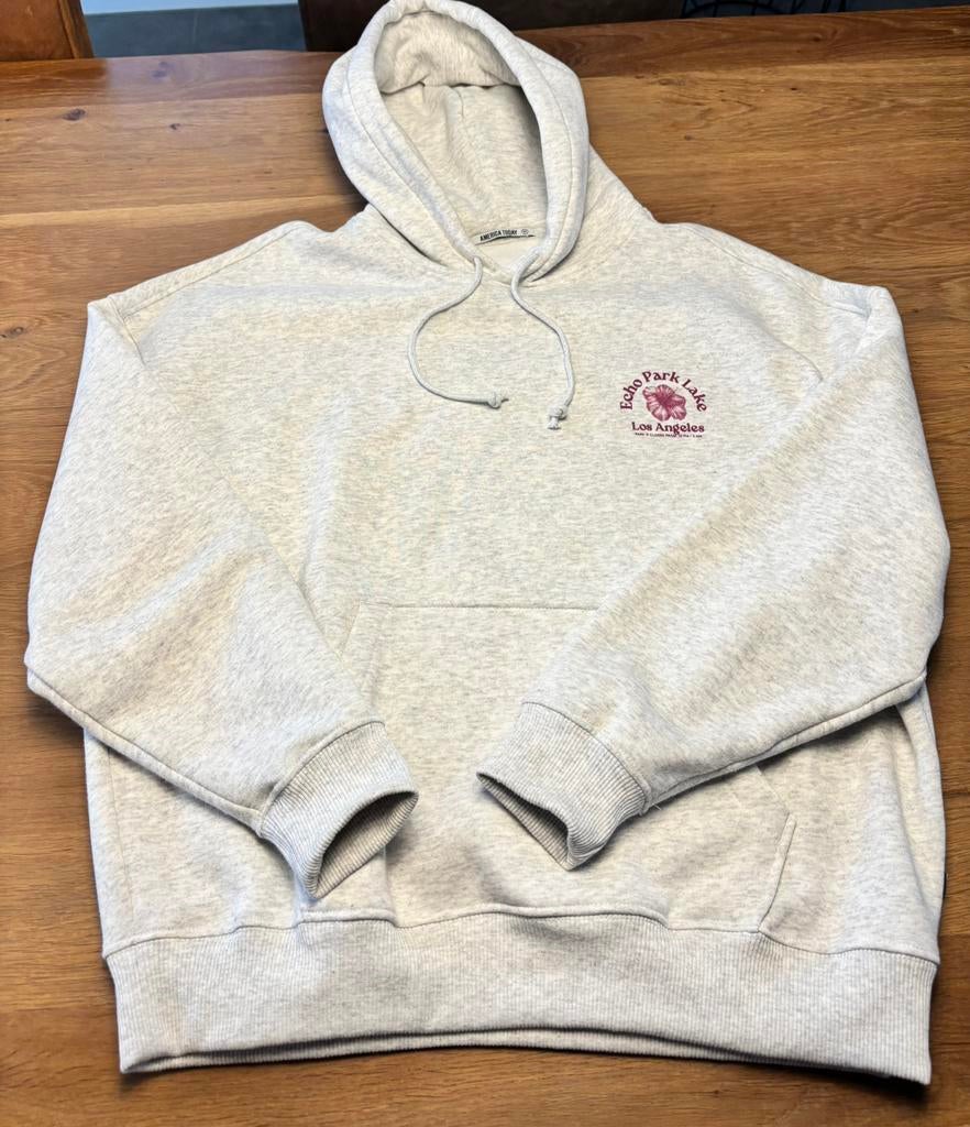 Grijze hoodie van America Today in maat M, Kleding | Dames, Truien en Vesten, Ophalen of Verzenden, Zo goed als nieuw, Maat 38/40 (M)