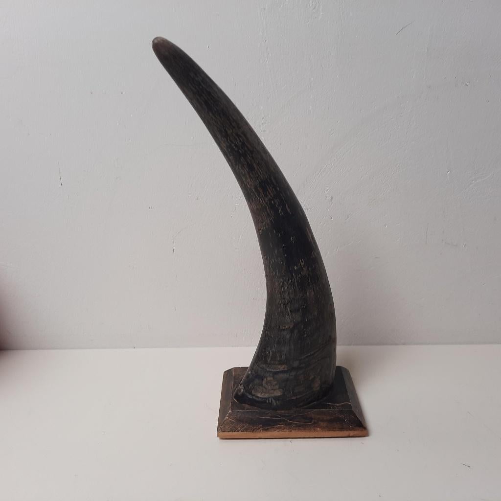 Decoratieve Hoorn op Houten Voet, Ophalen of Verzenden, Zo goed als nieuw