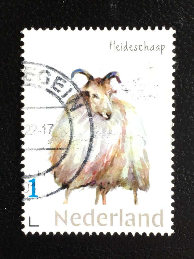 2668 Persoonlijk - Heideschaap - gestempeld, Ophalen of Verzenden, Na 1940, Gestempeld