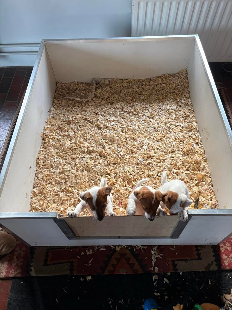 Werpkist 122x 103 x46, Dieren en Toebehoren, Honden-accessoires, Ophalen, Gebruikt