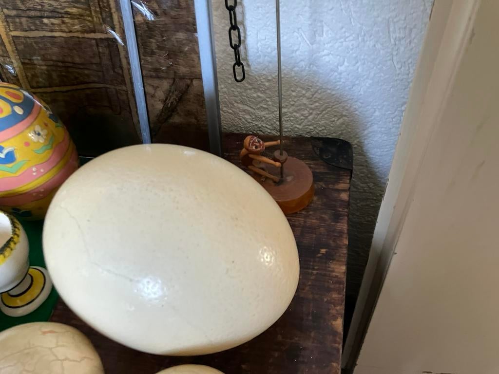 Struisvogel ei, Ophalen of Verzenden, Zo goed als nieuw