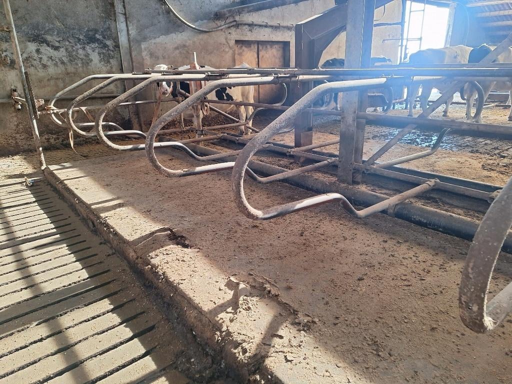 CombiBox, Dieren en Toebehoren, Ophalen, Gebruikt