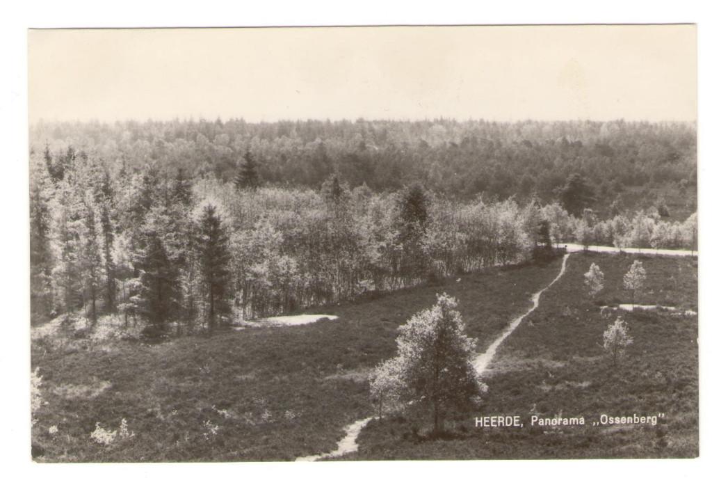 Ansichtkaart Heerde, Ossenberg, Verzamelen, Ansichtkaarten | Nederland, Ongelopen, Gelderland, 1960 tot 1980, Ophalen