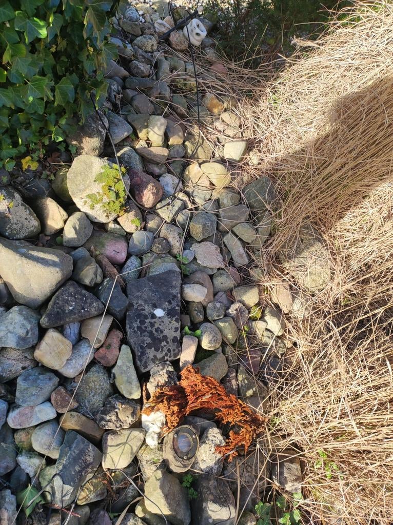 Diverse stenen en keien voor tuin of decoratie, Ophalen, Overige materialen, Gebruikt, Kei