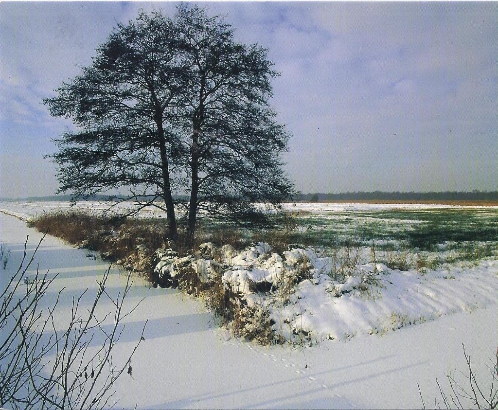 K70 Gelopen ansichtkaart hoogeweg op een heldere winterdag, Ophalen of Verzenden, 1980 tot heden, Gelopen, Overijssel