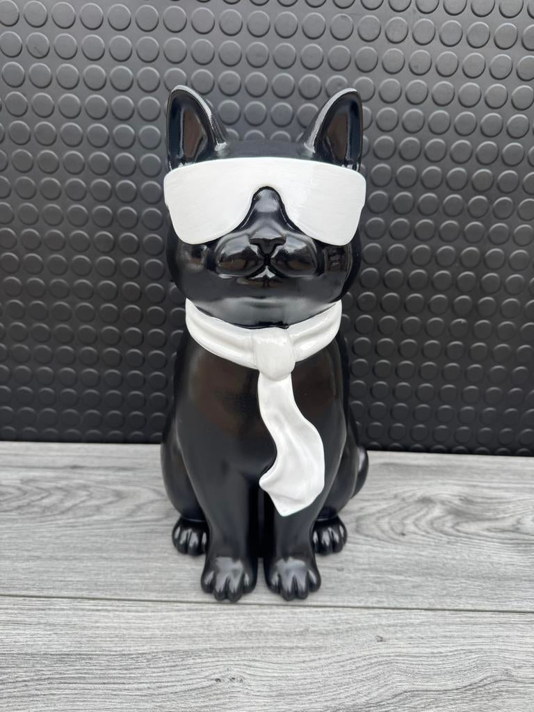 poes met bril, Ophalen of Verzenden, Nieuw, Dier