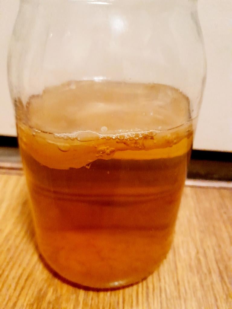 Mooie scoby voor kombucha, Ophalen