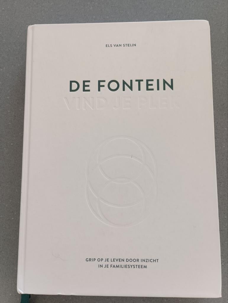 De Fontein, Boeken, Ophalen of Verzenden, Zo goed als nieuw, Els van Steijn, Overige onderwerpen
