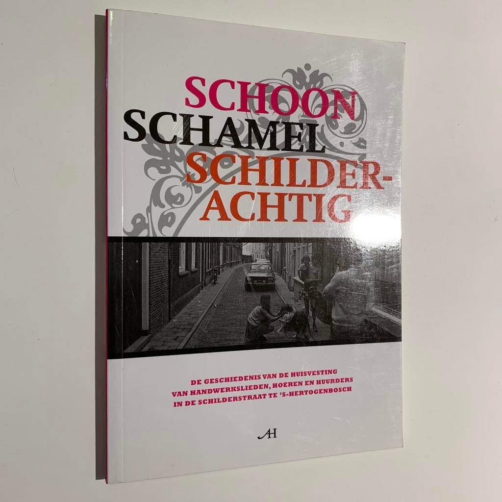 Wilt de Boer ea, Den Bosch, Schoon schamel schilderachtig, Boeken, Geschiedenis | Stad en Regio, Ophalen of Verzenden, Gelezen