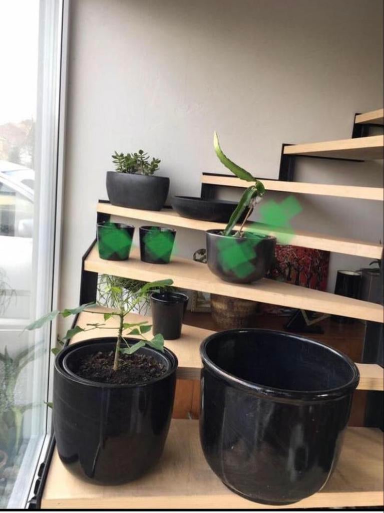 Zwarte vintage terracotta bloempotten diverse maten, 25 tot 40 cm, Binnen, Ophalen of Verzenden, Zo goed als nieuw